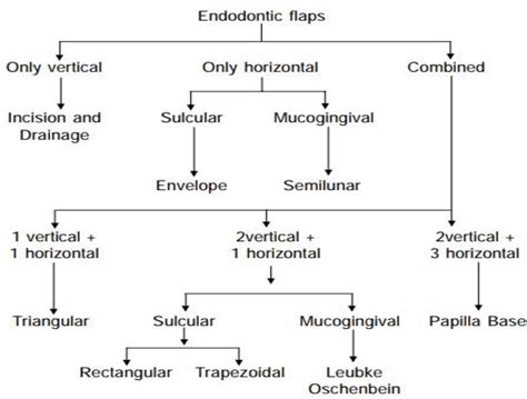 Figure 1 From Classification And Types Of Flaps In Endodontic Surgery
