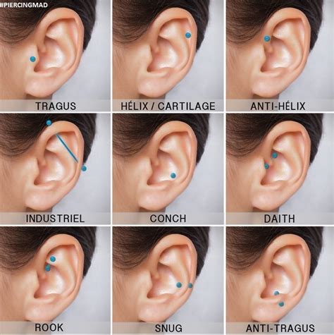Ear Piercing Types Men