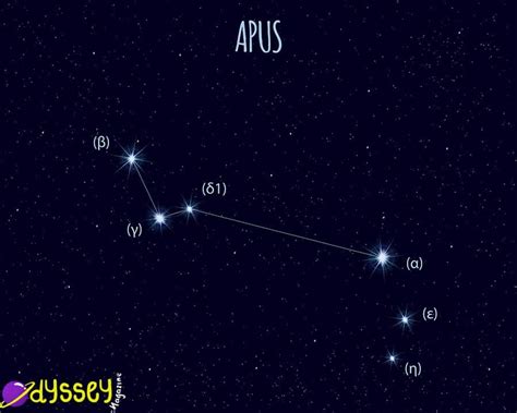 Apus Constellation The Bird Of Paradise Odyssey Magazine