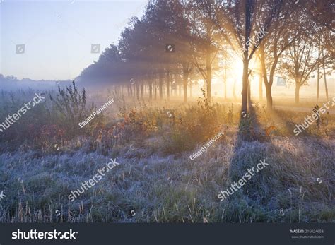 Beautiful Sunrise With Frost Stock Photo 216024658