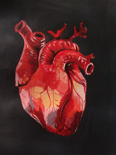 Dibujo Corazon Realista Con Acrilico Anatomical Heart Art Human