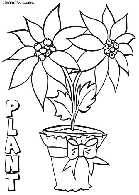 Plant coloring pages | Coloring pages to download and print