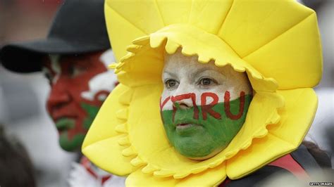Blag Your Way Through The Rugby World Cup Bbc News