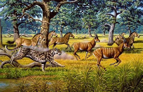 Sabre Toothed Cat Chasing Prey Stock Image E4450234 Science