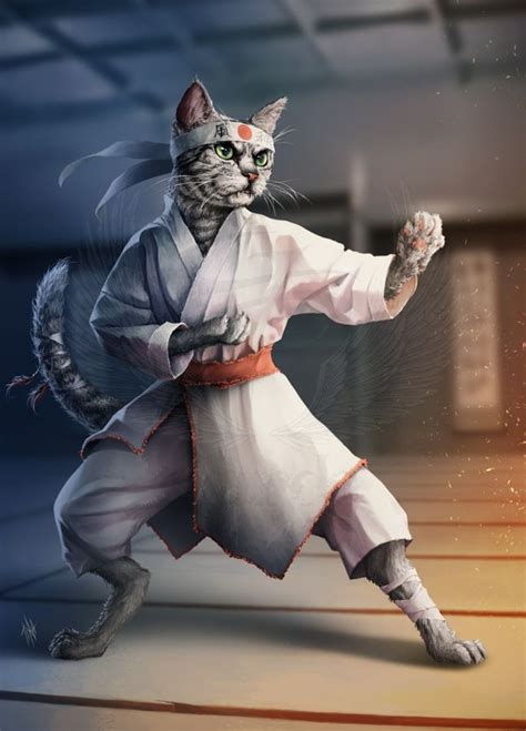 Karate Cat By Tira Owl On Deviantart Cat Character Character Design