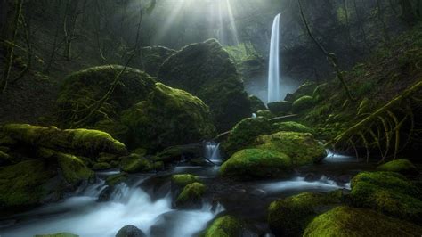 Nature wallpapers 4k hd for desktop, iphone, pc, laptop, computer, android phone, smartphone, imac, macbook wallpapers in ultra hd 4k 3840x2160, 1920x1080 high definition resolutions. Stream Waterfall Greenery Moss Oregon HD Nature Wallpapers ...