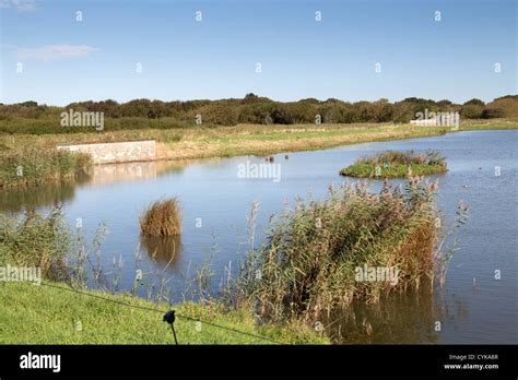Titchfield haven nature reserve hampshire hi-res stock photography and