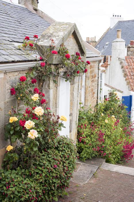 Free Stock Photo 12907 Quaint Stone Cottage With Climbing Roses