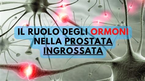 Ipertrofia Prostatica Benigna Archivi