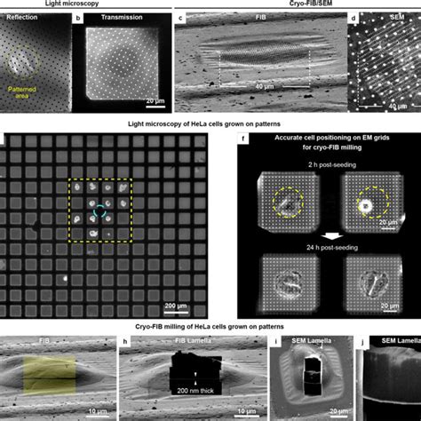 Micropatterning Of Electron Microscopy Grids For Positioning Of