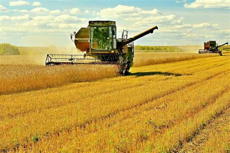 September 2020 Overview Of Kazakhstan Agricultural Sector