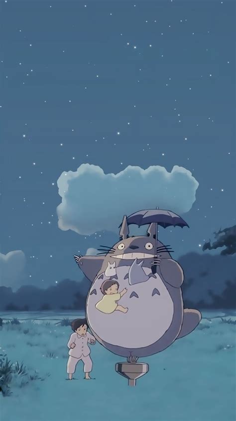 20 Totoro Aesthetic Wallpapers Wallpapersafari