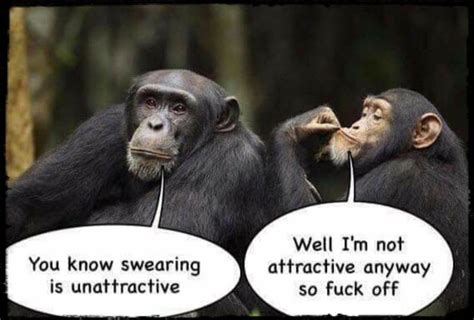 Pin By Ian Snape On Animals Monkeys Funny Funny Quotes Funny Pictures