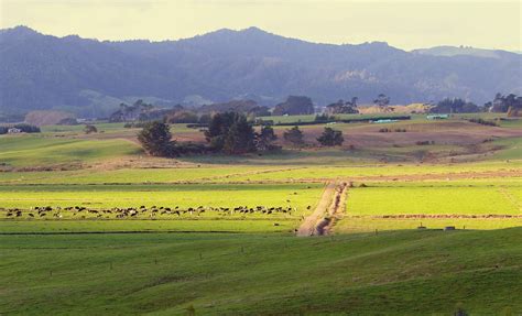 Near Auckland New Zealand Rural View From My Sons House Flickr