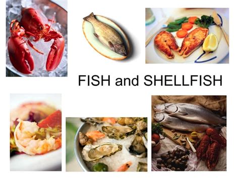Fish And Shellfish 1 Ppt