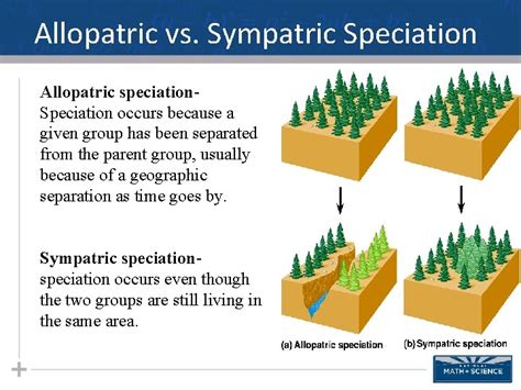 Macroevolution Part Ii Allopatric Speciation Looks Can Be