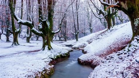 3840x2160 3840x2160 Snow Nature Winter Tree Forest Stream