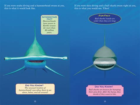 Who Would Win Hammerhead Vs Bull Shark By Jerry Pallotta Paperback