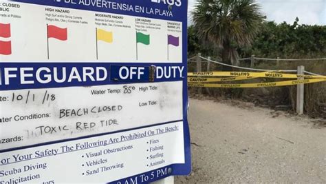 Outlines five tricky situations in which it's hard to be honest. Red tide likely spreads in Palm Beach County, Florida, as ...