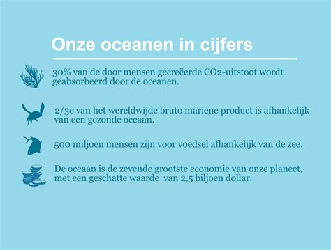 Oceanen Beschermen Wwf Vol Leven Maar Bedreigd