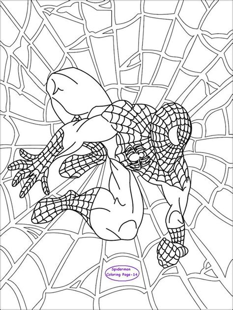 Spiderman coloring page for kids 14