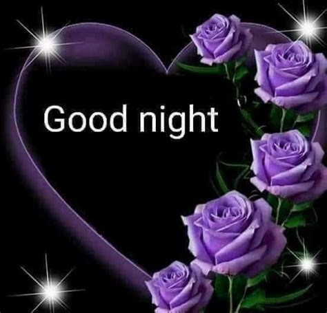 Check spelling or type a new query. Lavender Rose Good Night Pictures, Photos, and Images for ...
