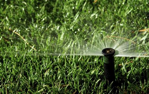 Landscape Irrigation Roundtree Landscaping Dallas Tx