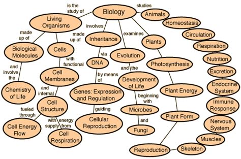 This Is A Beginning List Of Some Topics In Biology Biology Lessons