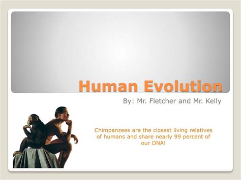 Ppt Human Evolution Powerpoint Presentation Free Download Id2243868