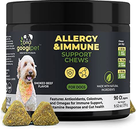 10 Best Allergy Medications For Dogs Reviews And Buying Guide In 2023
