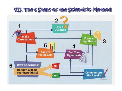 Ppt The Scientific Method Powerpoint Presentation Free Download Id