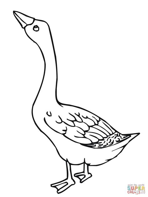Geese are the smartest of poultry. Baby Goose Coloring Page - Coloring Home