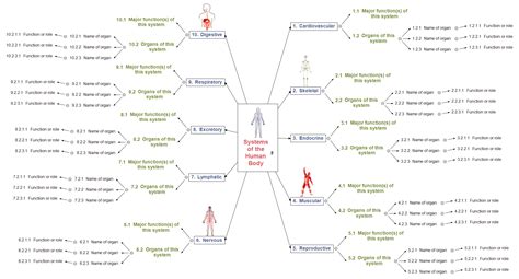 Human Body Systems Mind Map Template Mindgenius Mindmaps Gambaran