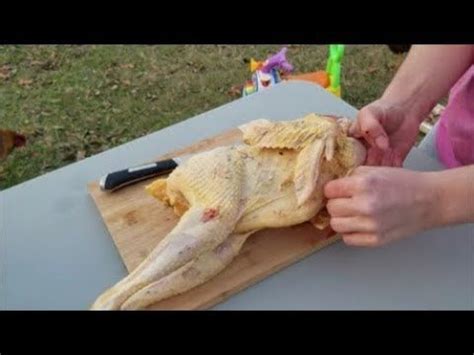 Chicken Processing On The Homestead Chicken Processing Chicken Homesteading