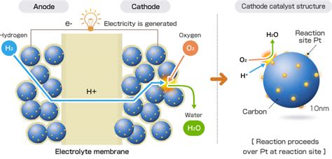 Fuel Cell Electrode Catalysts Innovation Products The Catalyst