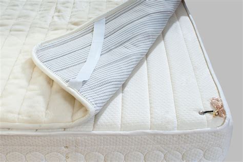 Bed bugs can hitch a rid on outside pets, suitcases, and used mattresses among other things. How to Clean A Mattress: The Ultimate Guide [2020 ...