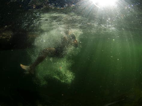Kostenlose Foto Meer Wasser Licht Sonnenlicht Welle See Unterwasser Grün Betrachtung
