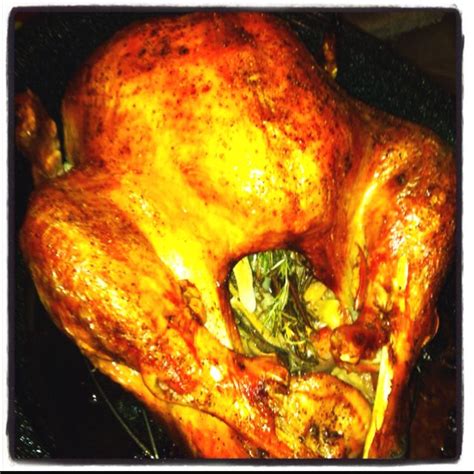 Good eats fish taco recipe alton brown. Alton brown's turkey recipe. | Poultry recipes, Turkey ...