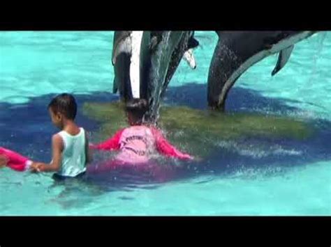 Potensi wisata solok hampir sama dengan daerah lain yang ada di sumbar yang perlu di perhitungkan, karena di solok juga banyak terdapat objek wisata alam yang dapat anda kunjungi dan memiliki. Wisata Dreamland Park Ajibarang - YouTube