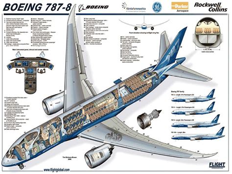 Boeing 787 800 Dreamliner 2019