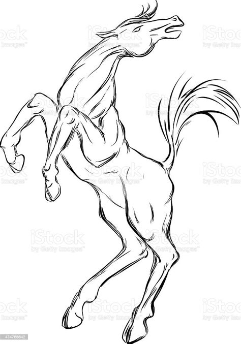 Sketsa Kuda Ilustrasi Stok Unduh Gambar Sekarang Equid Gambar