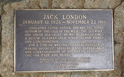 Explore an array of jack london's cabin, oakland vacation rentals, including houses, apartment and condo rentals & more bookable online. 10 Things to Do in Oakland California (including FREE ...