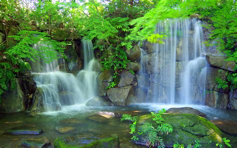 Download games for pc, xbox 360, xbox one, ps2, ps3, ps4, psp, ps vita, linux, macintosh, nintendo wii, nintendo wii u, nintendo 3ds, nintendo switch and movies for free! Waterfall Plant Tree Fern Rocks Stones Green Landscape ...