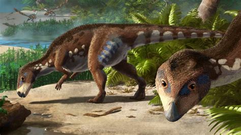 Dwarf Dinosaur That Lived 70 Million Years Ago Discovered In