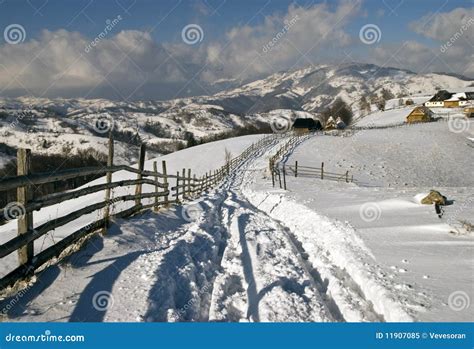 Winter In Romanian Mountains Stock Image Image Of Frozen Tree 11907085
