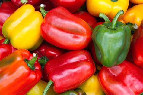 We did not find results for: Growing Bell Peppers: From Planting to Harvest | The Old ...