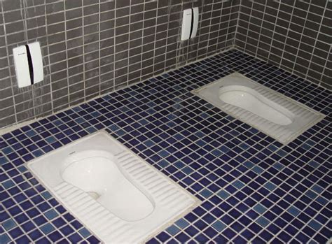 Do You Paper, Hover or Squat?: Find Out Which Type of Toilet User You