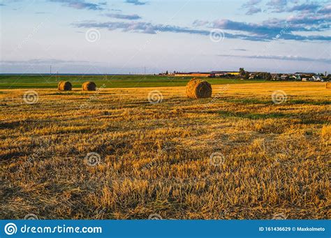 Rolled Haystack Hay Bale Agriculture Field With Sky Rural Landscape