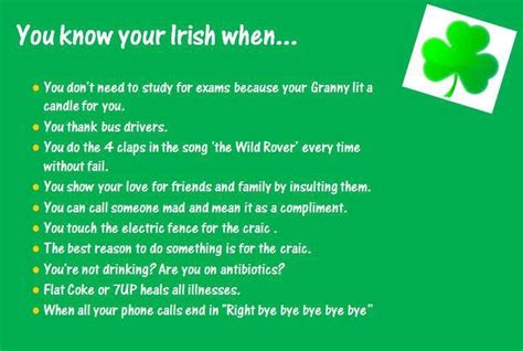 Experience The Irish Spirit With These Heartwarming Quotes Best Quotes For Your Life
