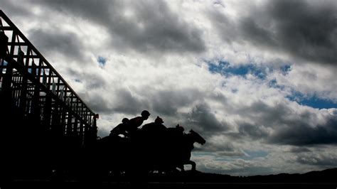Once you see the bsp consistently beating the best tote at the rosehill races and around the country, you'll understand why it's the most valuable. Sydney racing selections: Rosehill tips for Saturday, March 13